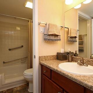A well-lit bathroom featuring a granite countertop sink, mirror, and a shower with safety bars.
