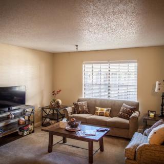 Cozy living room with a comfortable sofa and modern decor.