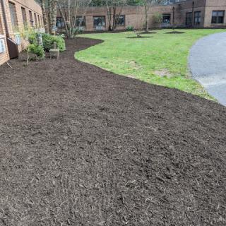 A freshly mulched garden area with a curved path and grassy sections.