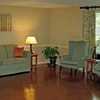 A cozy living room with a sofa, chairs, and a lamp, complemented by a potted plant.