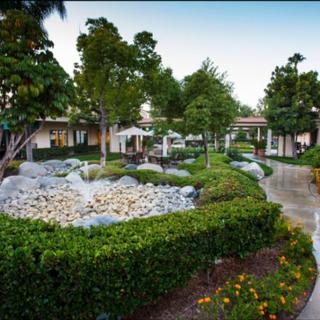 A beautifully landscaped garden with a winding pathway surrounded by lush greenery and trees.