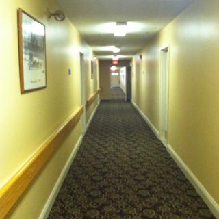 A dimly lit hallway with carpet and multiple doors on either side.