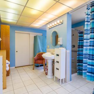 A brightly lit bathroom with a blue color scheme, featuring a shower curtain, sink, mirror, and ample storage.