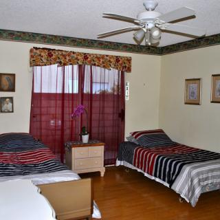 A cozy bedroom with twin beds and a ceiling fan, featuring warm red curtains, decorative wall art, and an orchid on the side table.