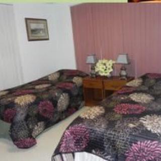 A cozy bedroom with two single beds featuring colorful floral bedspreads and lamps on a wooden nightstand.