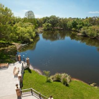 A serene view of a tranquil lake surrounded by lush green trees, with a wooden deck in the foreground.