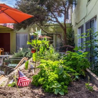 A lush backyard garden with a variety of plants, patio seating, and a sun umbrella.