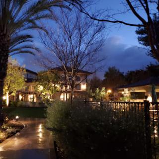 A serene garden scene illuminated by soft lights at dusk.