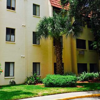 A residential apartment building with palm trees and well-maintained landscaping.
