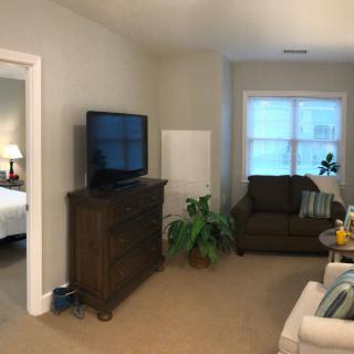 A cozy living room with a television, couches, and a plant near the window.