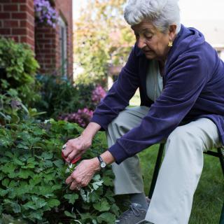 An elderly woman tending to her garden, enjoying the calmness of nature.