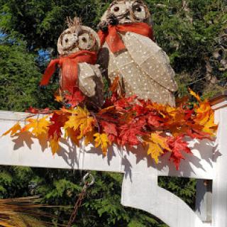 Whimsical owl decorations surrounded by vibrant autumn leaves.