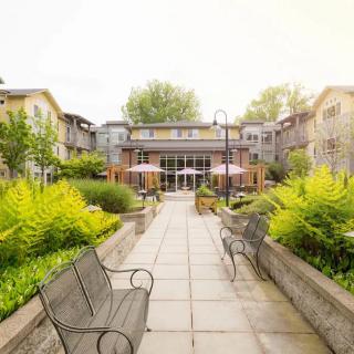 A serene courtyard featuring lush greenery, benches, and a pathway leading to a building.