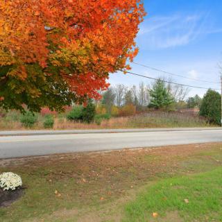 A scenic autumn landscape with vibrant orange foliage and a quiet road.
