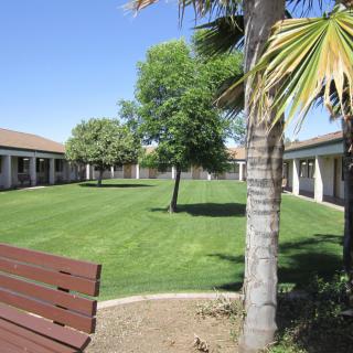 A sunny courtyard with green grass, trees, and surrounding buildings.