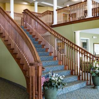 A grand wooden staircase with carpeted steps and decorative plants in a spacious interior.