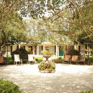 A peaceful outdoor garden area with chairs and lush greenery.