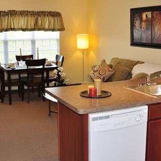 An open-plan living space featuring a cozy sitting area with a sofa, adjoining dining area with a table and chairs, and a kitchen counter with a dishwasher.