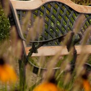 A wooden bench in a garden surrounded by wildflowers.