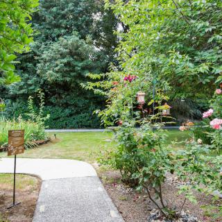 A serene garden path surrounded by lush greenery and trees.