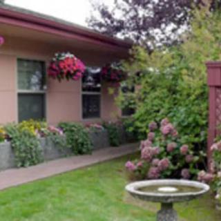 A serene garden with a variety of flowers and a birdbath in front of a house.