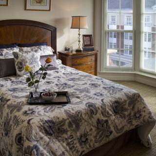 A cozy bedroom with patterned bedding, a bedside table lamp, and a large window.