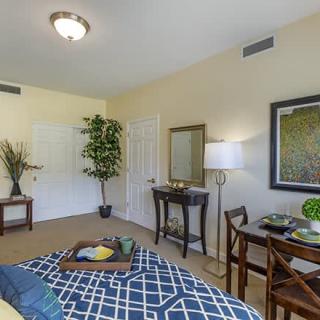 A cozy bedroom with decorative elements including a desk, chair, and plants.