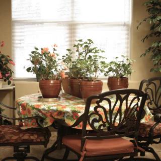 A cozy dining area with a table adorned with potted plants and flowers, surrounded by elegant chairs.