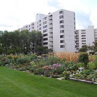A vibrant garden in front of a modern apartment building.