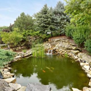A serene garden pond surrounded by lush greenery and rocks.