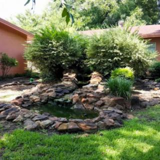 A landscaped garden featuring a small pond surrounded by rocks and lush plants.