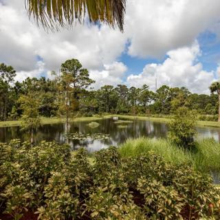A scenic view of a pond surrounded by lush vegetation and trees under a cloudy sky.