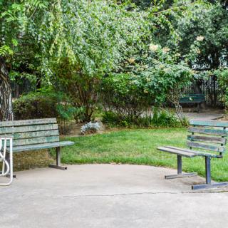 Two benches in a peaceful park setting surrounded by lush greenery.