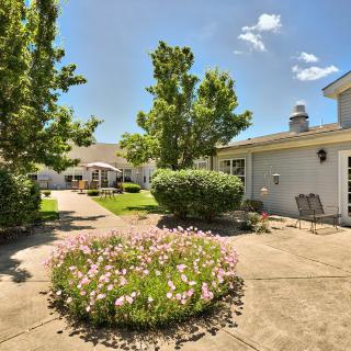 A sunny courtyard garden with blooming flowers and surrounding trees.