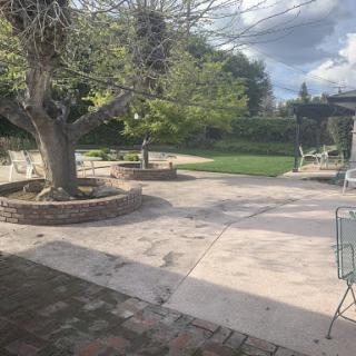 A serene outdoor space featuring a shaded tree and lush green lawn, perfect for relaxation.