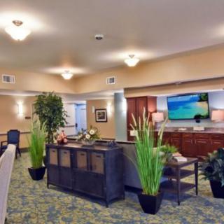 A modern living room interior with comfortable seating, plants, and a mounted TV.