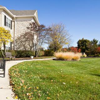 A sunny day in a well-landscaped backyard with a house, lawn, and sidewalk.