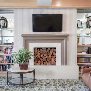 A cozy living room with a fireplace, television, and bookshelves, complemented by an indoor plant on a coffee table.