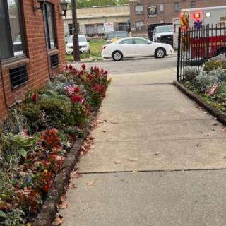 A well-maintained sidewalk lined with colorful flowers next to a brick building in an urban setting.