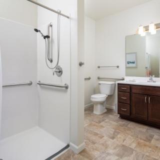 A modern and accessible bathroom with a shower, toilet, and sink.