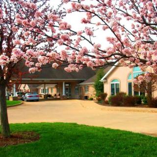 A beautiful building surrounded by blossoming trees in spring.