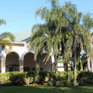 A serene view of a tropical building surrounded by lush palm trees.