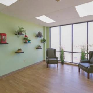 A bright waiting room with chairs, decorative plants, and large windows.