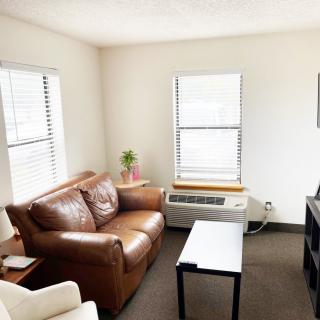 A cozy, minimalist living room with a brown leather sofa, white coffee table, and an indoor plant near two windows.