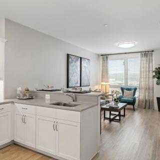 A modern open-plan kitchen and living room with contemporary furnishings and ample natural light.