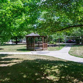 A peaceful park scene with a wooden gazebo surrounded by lush green trees and intersecting pathways.