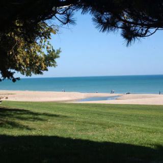 Scenic view of a beach with grassy foreground and ocean horizon.