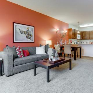 A cozy living room with a gray sofa, vibrant orange accent wall, and an open kitchen-dining area.