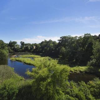 A serene landscape featuring a winding river surrounded by lush trees and greenery under a clear blue sky.