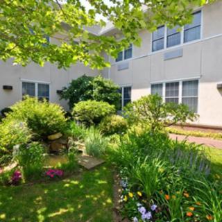 A lush garden with various plants and flowers in front of a building.